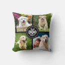 Search for typography cushions Pet