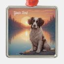 Search for springer spaniel christmas tree decorations Pets