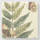 Search for butterfly coasters Leaves