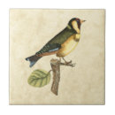 Search for bird tiles Branch