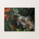 Search for lizard puzzles Exotic