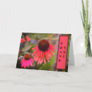 Search for cone flowers cards Garden