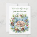 Search for bough vertical postcards Pine cones
