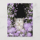 Search for line drawing vertical postcards Elegant