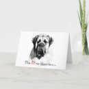 Search for mastiffs cards Dog