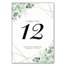 Search for eucalyptus table cards Botanical