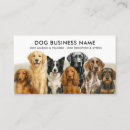 Search for doggy daycare Dog grooming services