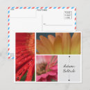 Search for droplet postcards Photography