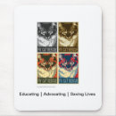 Search for rescued mouse mats Cats