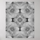 Search for fluffy white posters Flower