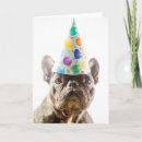 Search for purebred cards Pets
