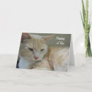 Search for cute animal thinking of you cards Cats