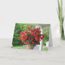 Search for begonias cards Red