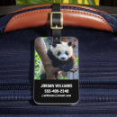 Search for china travel accessories East asia