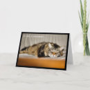 Search for retirement cat cards Kitty