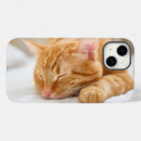 Search for ginger cat iphone cases Kitten
