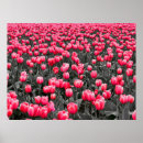 Search for selective colouring posters Photography