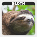Search for sloth stickers Zoo