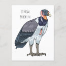 Search for vulture postcards Bird
