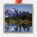 Search for pacific northwest christmas tree decorations Scenic
