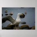 Search for tide pool art Rocks