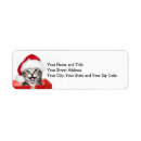 Search for tabby cat return address labels Grey