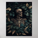 Search for human skeleton posters Skull