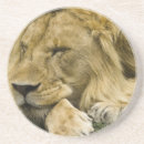 Search for mcdonald barware Nature