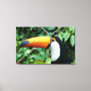 Search for beak canvas prints Bird