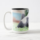 Search for badger coffee mugs Wildlife