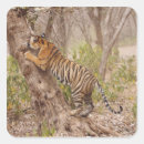 Search for royal tiger stickers Stripe
