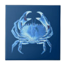 Search for navy blue and white tiles Nautical