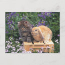 Search for rabbit ear postcards Togetherness