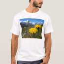 Search for valais Mountains
