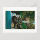 Search for creed postcards Lantern