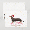 Search for doxie christmas cards Pets