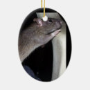 Search for pet rat christmas tree decorations Animals
