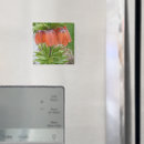 Search for multi region magnets Nature