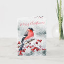 Search for bullfinch christmas cards Snow