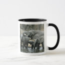 Search for african elephants mugs South africa