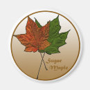 Search for maple leaves magnets Syrup