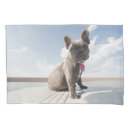 Search for french bulldog pillowcases Young animal