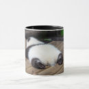 Search for sleeping animal mugs Animals in the wild