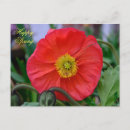 Search for happy spring postcards Floral