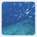 Search for school of fish stickers Outdoors