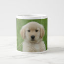 Search for big basin mugs Cute
