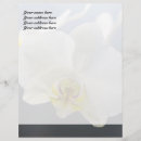 Search for orchid stationery paper Floral