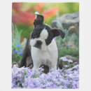Search for boston terriers blankets Cute