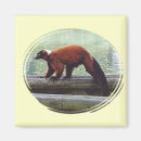 Search for lemur magnets Wild animal