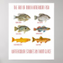 Search for fishes art Trout